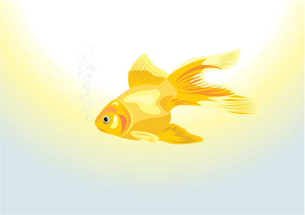 free vector Goldfish vector 1